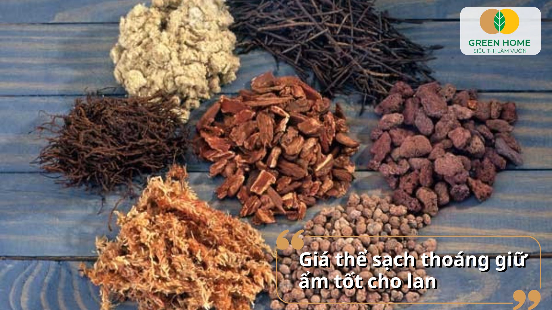 Cách trộn giá thể trồng lan từ than, xơ dừa và vỏ đậu giúp cây ổn định