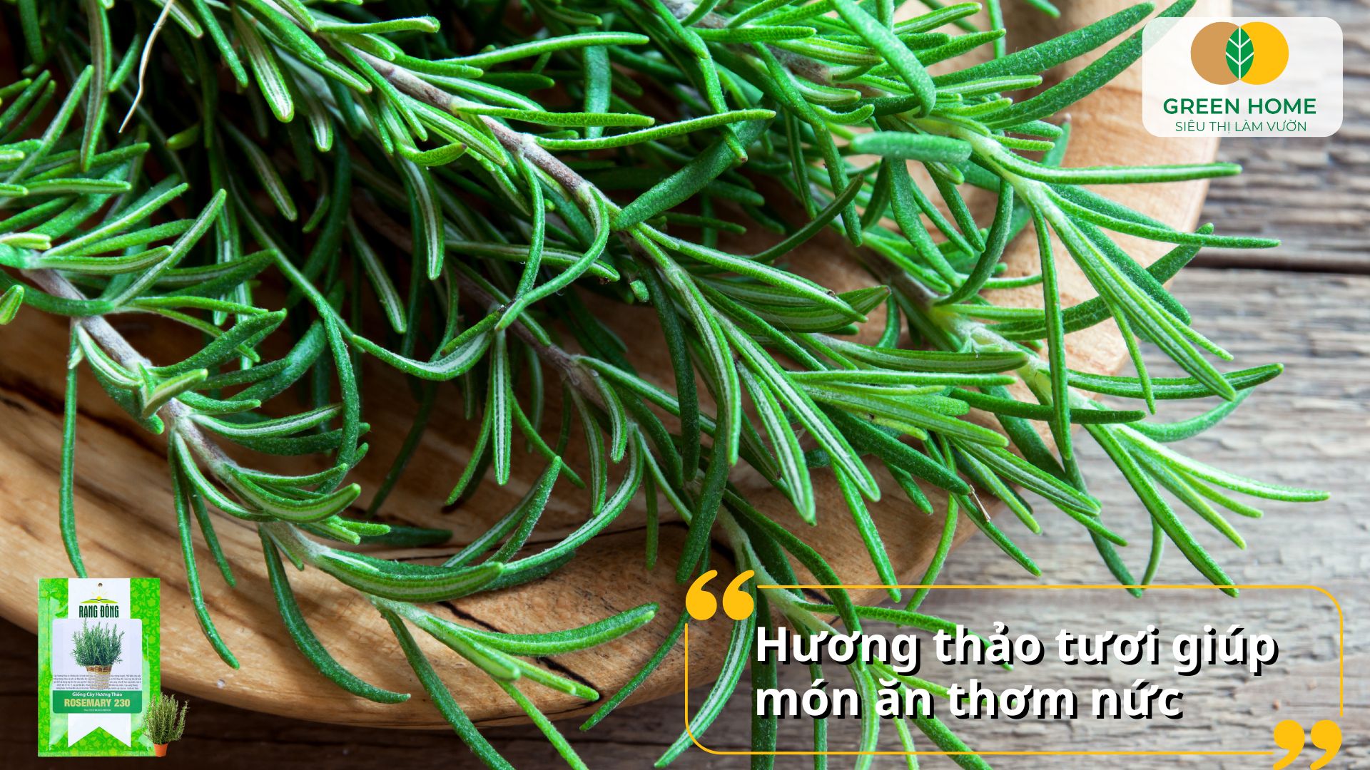 Hạt giống cây hương thảo cho lá thơm đậm vị dùng trong nấu ăn