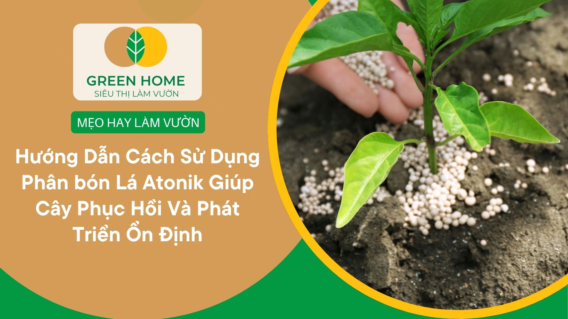Hướng Dẫn Cách Sử Dụng Phân bón Lá Atonik Giúp Cây Phục Hồi Và Phát Triển Ổn Định