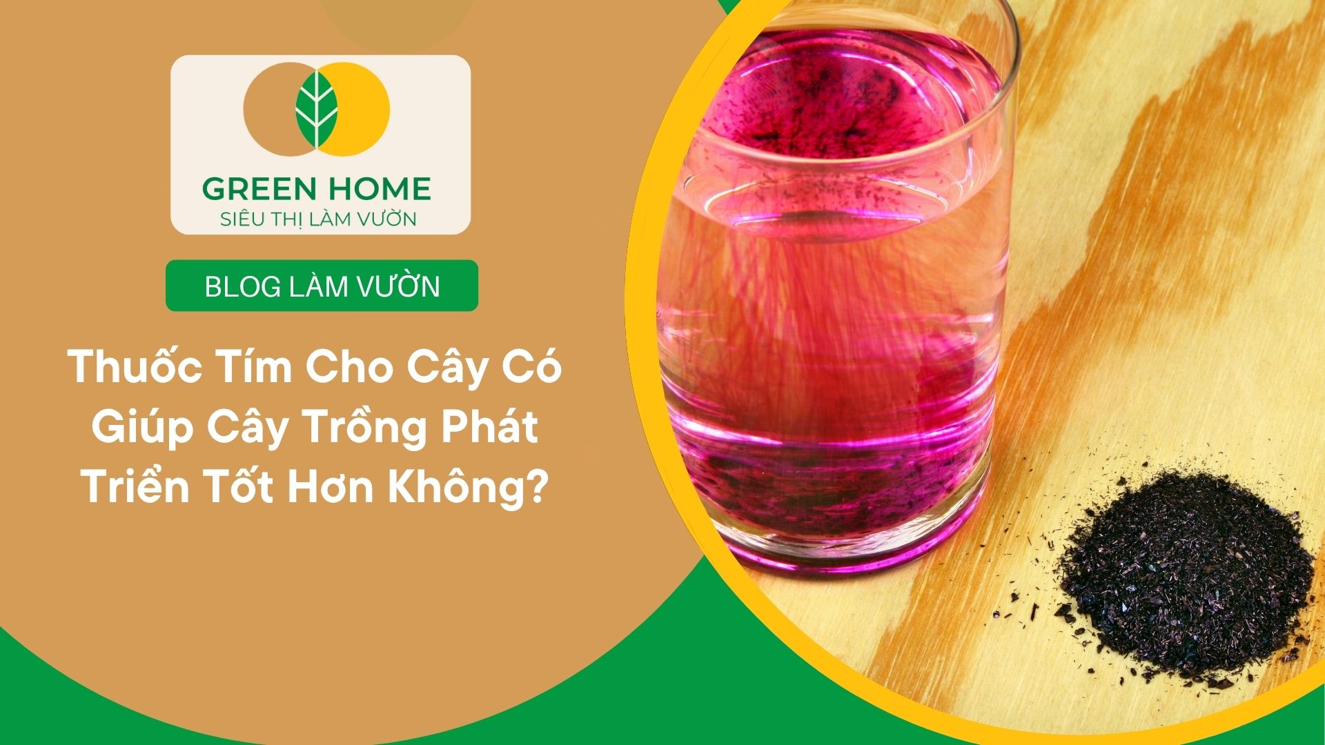 Thuốc Tím Cho Cây Có Giúp Cây Trồng Phát Triển Tốt Hơn Không?