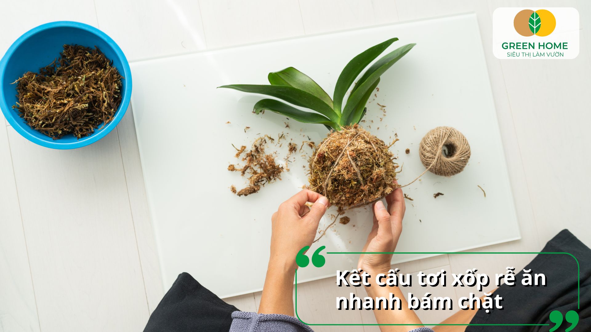 Cách trộn giá thể trồng lan từ than, xơ dừa và vỏ đậu giúp cây ổn định