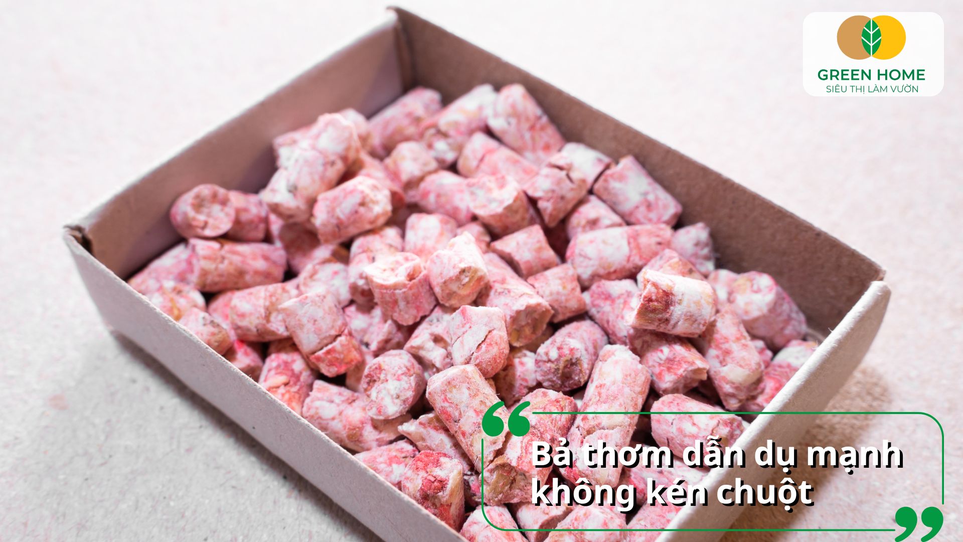 Diệt sạch chuột trong nhà với thuốc diệt chuột Killrat