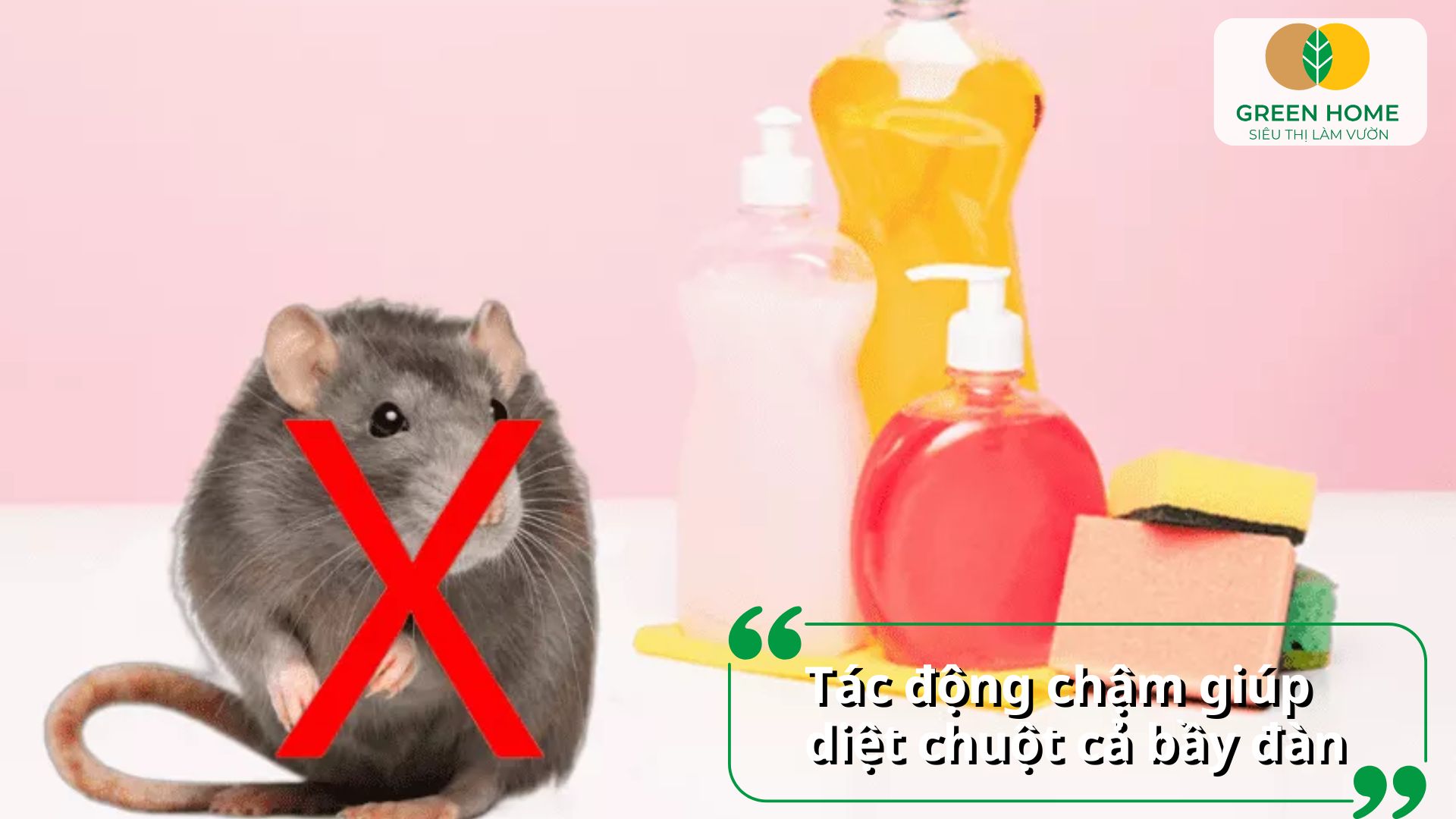 An toàn với cây trồng khi sử dụng thuốc diệt chuột sinh học trong vườn