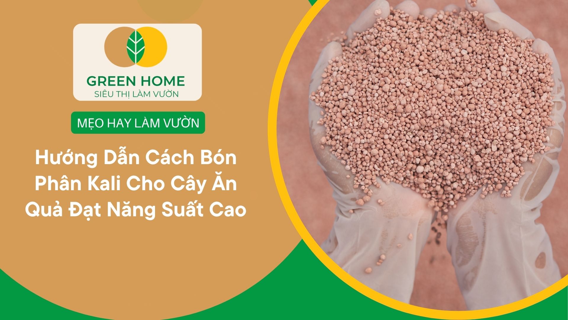 Hướng Dẫn Cách Bón Phân Kali Cho Cây Ăn Quả Đạt Năng Suất Cao