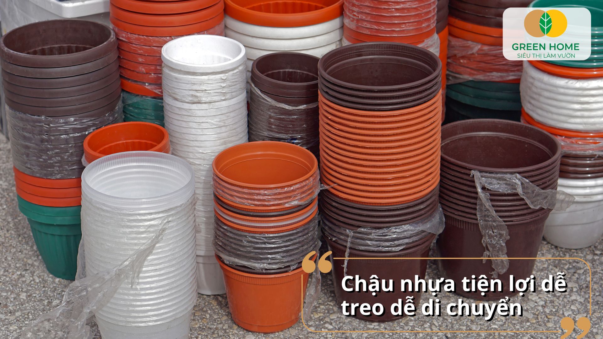 Mẫu mã đa dạng trong các loại chậu trồng lan giúp bạn dễ dàng chọn lựa