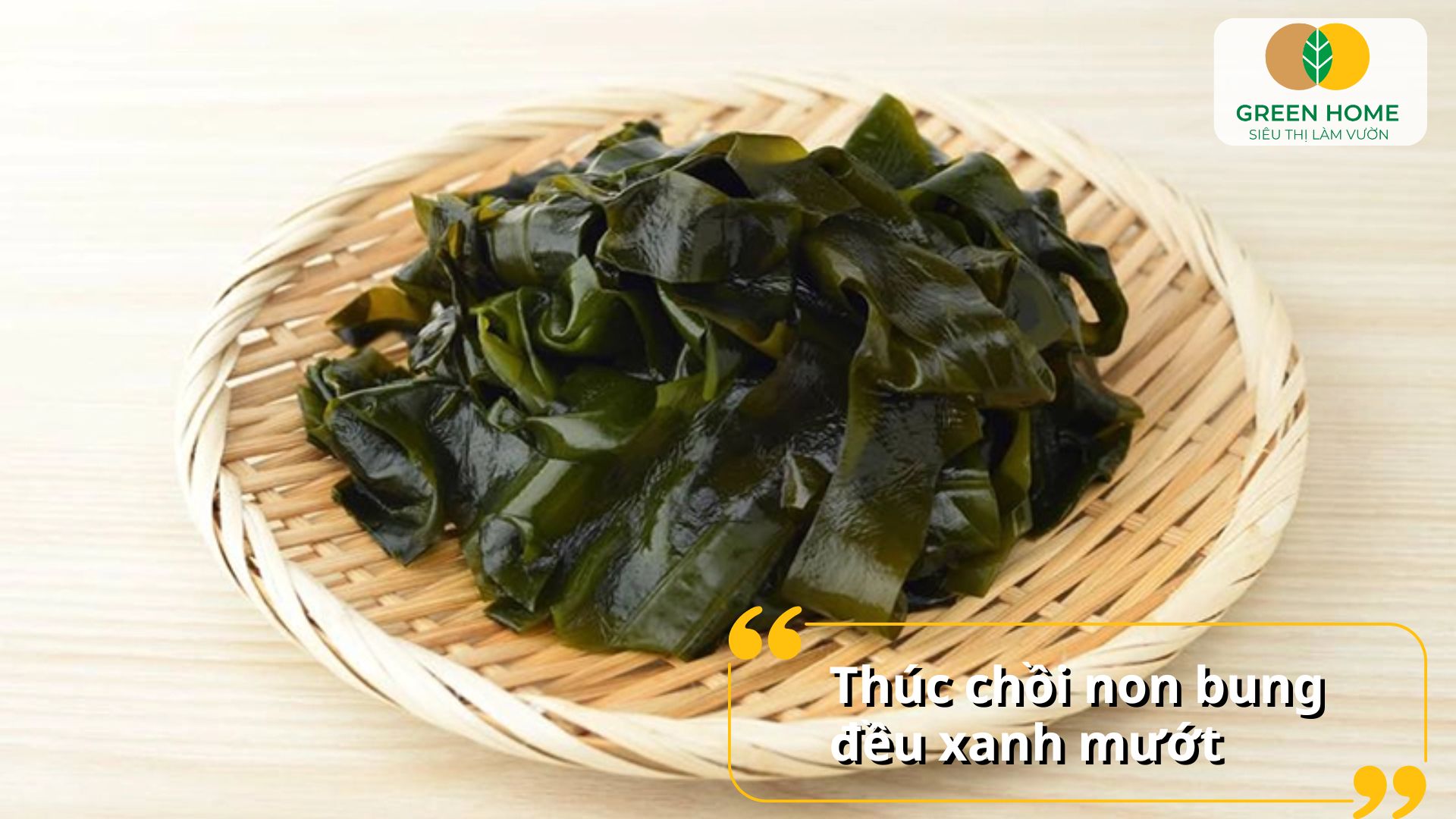 Phân bón rong biển hỗ trợ cây ra hoa đồng loạt, kéo dài thời gian nở