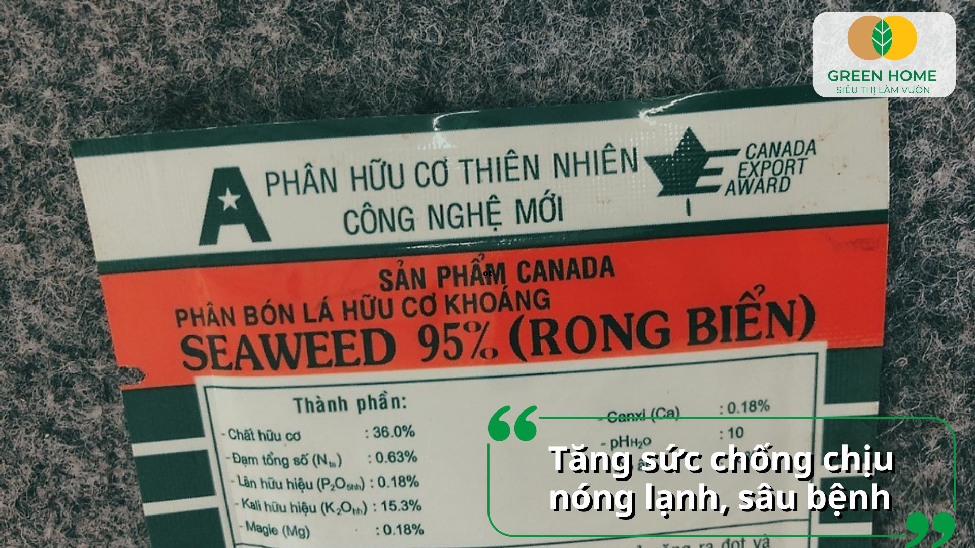 Phân bón rong biển giúp phục hồi cây sau khi bị ngập úng hoặc sốc nhiệt
