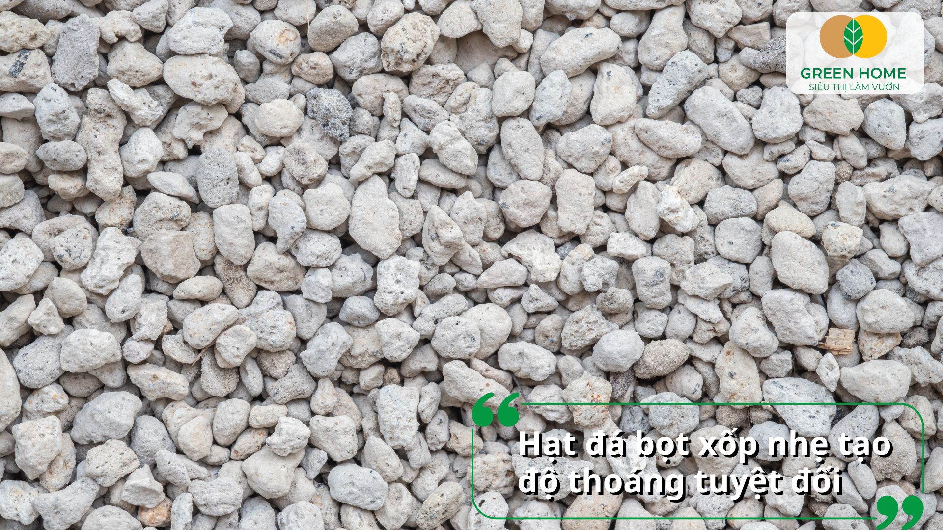Kết hợp đá pumice trồng sen đá với đất hữu cơ cho hiệu quả tối ưu