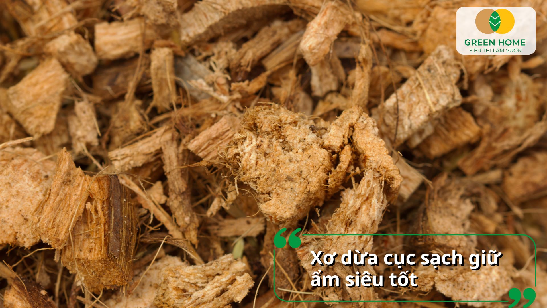 Các loại giá thể trồng lan có thể tái sử dụng nếu được xử lý đúng cách