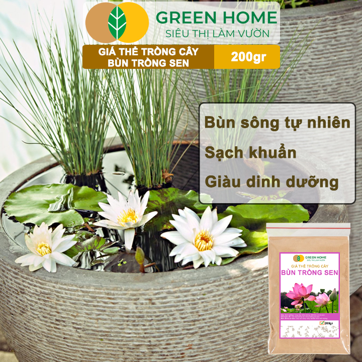 Hạt Giống Hoa Sen Mini Rado, Gói 5 hạt, Nhiều Màu, Dễ Trồng, Nảy Mầm Tốt H21
