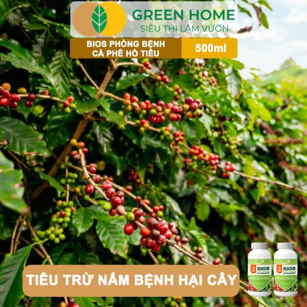 Chế Phẩm Sinh Học Bacte Bios Phòng Bệnh Cà Phê Hồ Tiêu, Chai 500ml