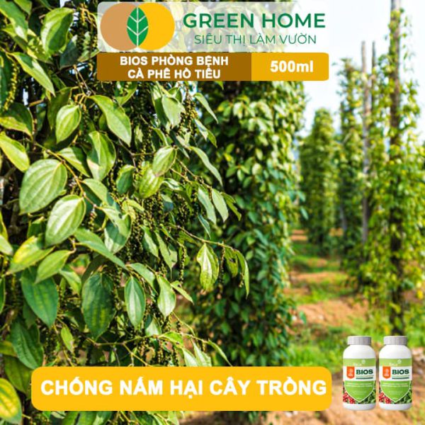 Chế Phẩm Sinh Học Bacte Bios Phòng Bệnh Cà Phê Hồ Tiêu, Chai 500ml