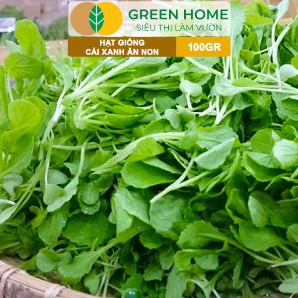 Hạt Giống Rau Cải Ăn Non, Gói 100g, R29