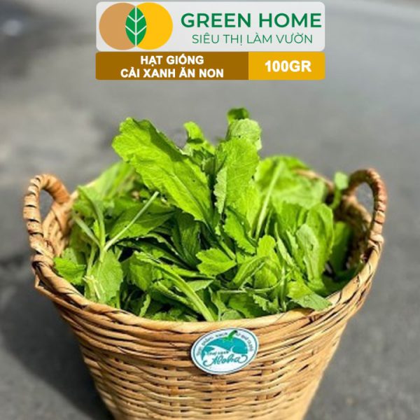 Hạt Giống Rau Cải Ăn Non, Gói 100g, R29