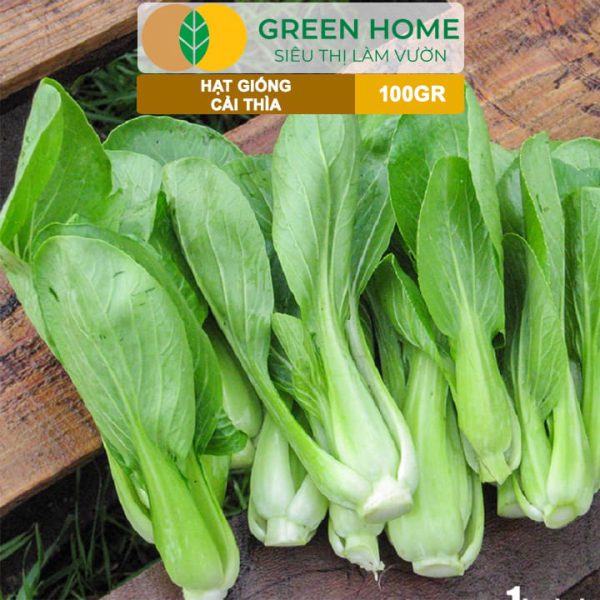 Hạt Giống Rau Cải Thìa, Gói 100g, R32