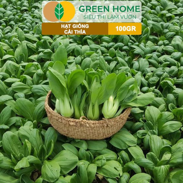 Hạt Giống Rau Cải Thìa, Gói 100g, R32