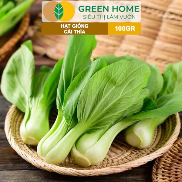 Hạt Giống Rau Cải Thìa, Gói 100g, R32