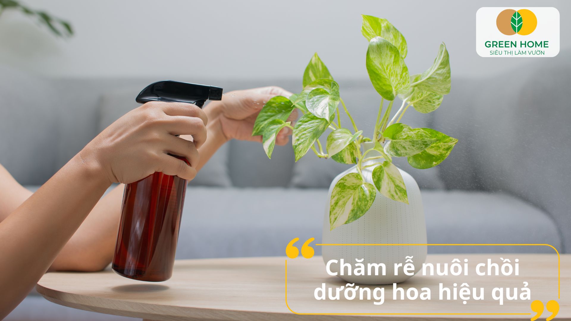 Cách sử dụng phân bón lá Atonik đúng tỷ lệ để tránh gây sốc cây