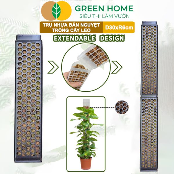Trụ Bán Nguyệt Trồng Cây D30xR6cm