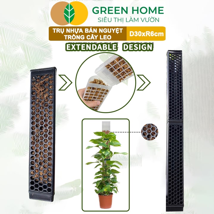 Trụ Bán Nguyệt Trồng Cây Greenhome, D30xr6cm, Nhựa Cứng, Có Khớp Dễ Nối Dài, Chuyên Hệ Cây Kiểng Lá