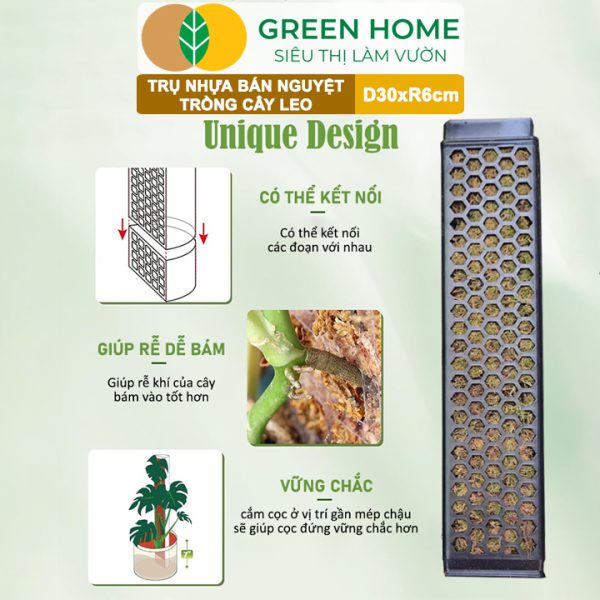 Trụ Bán Nguyệt Trồng Cây D30xR6cm
