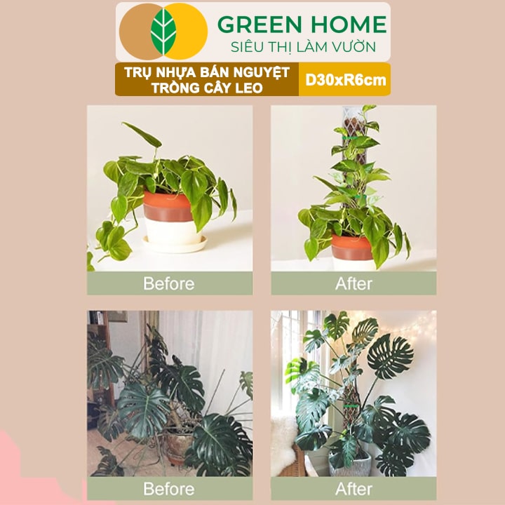 Trụ Bán Nguyệt Trồng Cây Greenhome, D30xr6cm, Nhựa Cứng, Có Khớp Dễ Nối Dài, Chuyên Hệ Cây Kiểng Lá