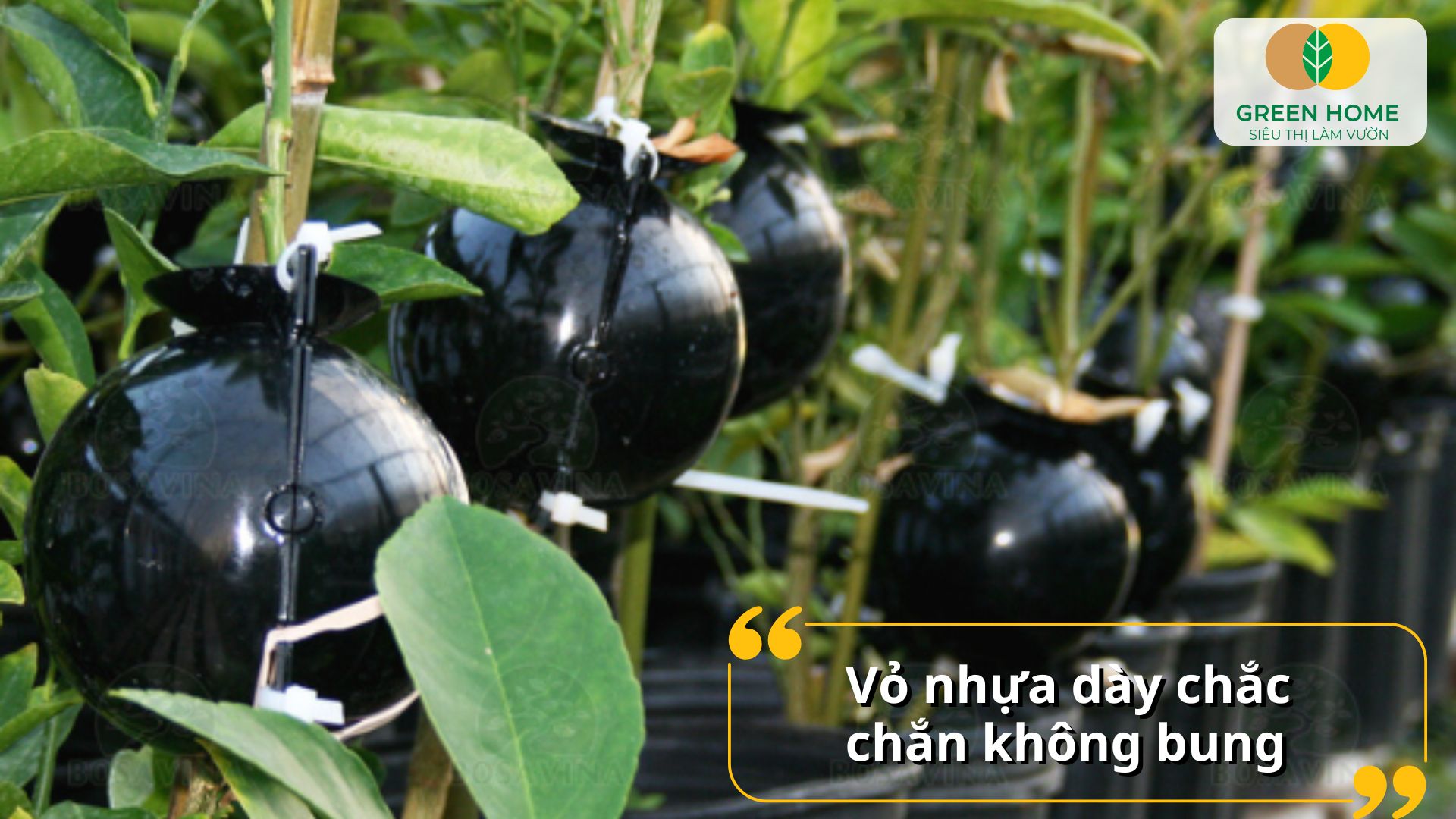 Thiết kế khóa chắc chắn của bầu chiết cành chuyên dụng giúp ôm sát cành