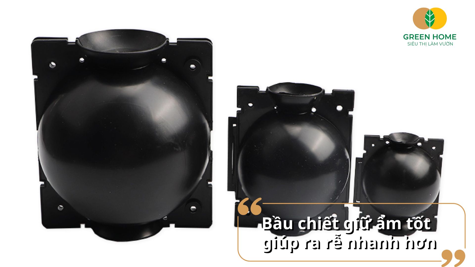 Tăng tỉ lệ ra rễ thành công với bầu chiết cành chuyên dụng