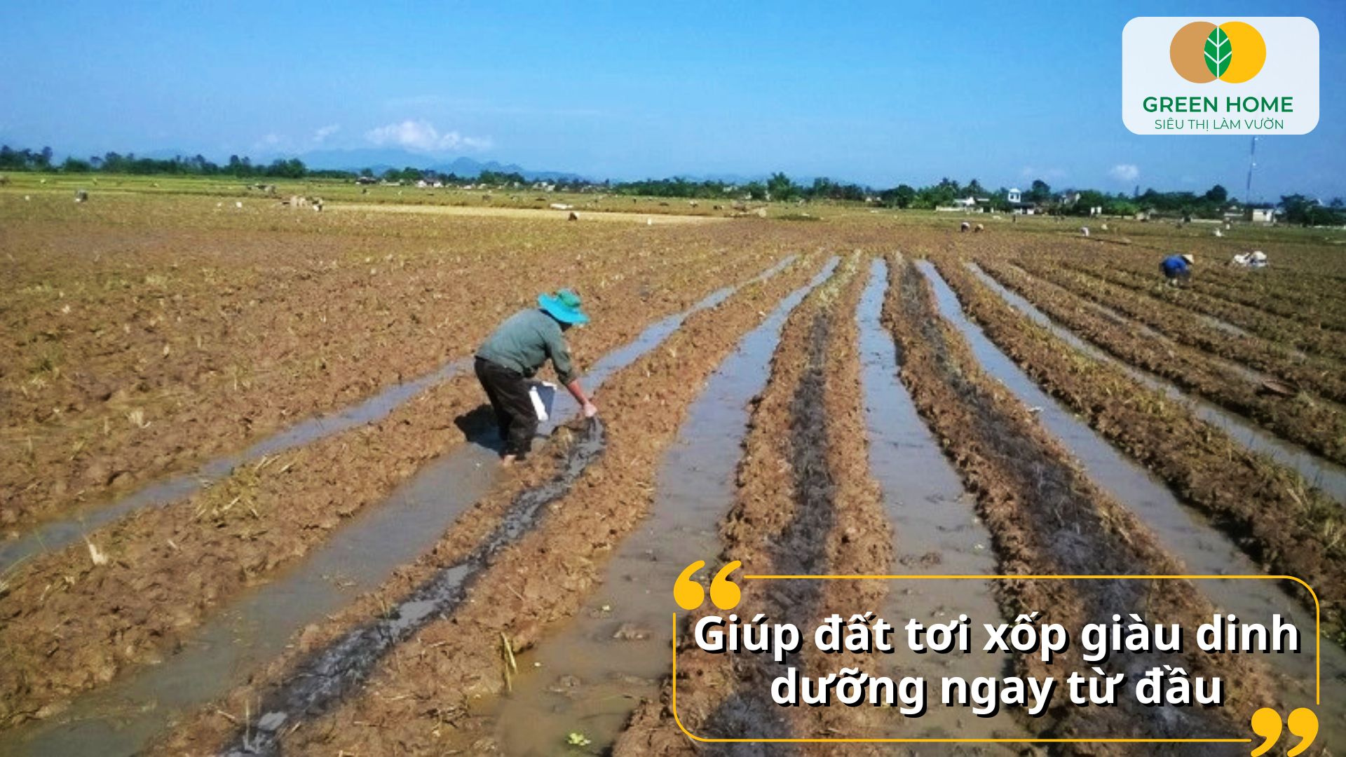 Nền tảng dinh dưỡng vững chắc nhờ bón lót phân hữu cơ