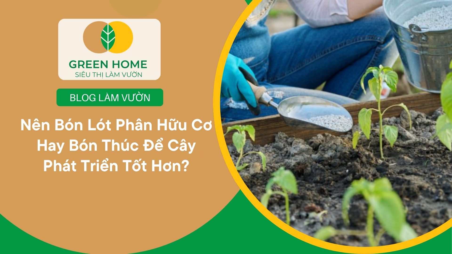Nên Bón Lót Phân Hữu Cơ Hay Bón Thúc Để Cây Phát Triển Tốt Hơn?