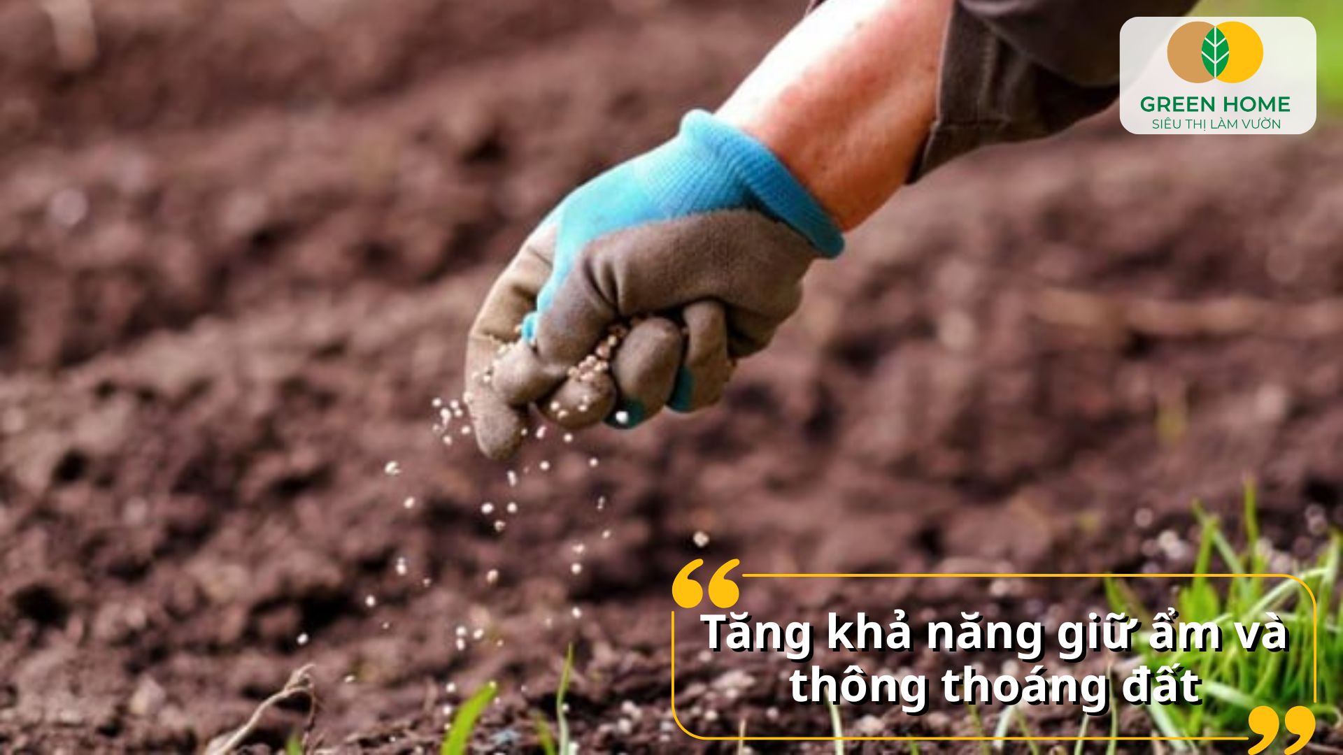 Giúp cây tăng sức đề kháng tự nhiên với bón lót phân hữu cơ