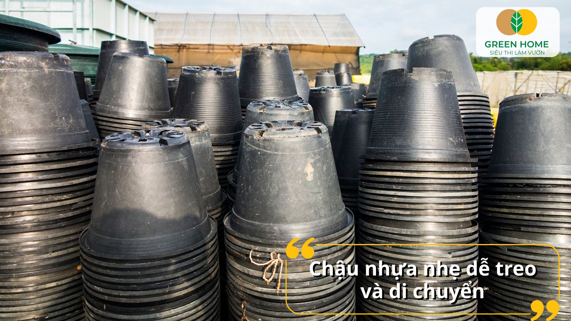 Chậu nhựa trồng lan thiết kế thoáng khí giúp rễ phát triển khỏe mạnh