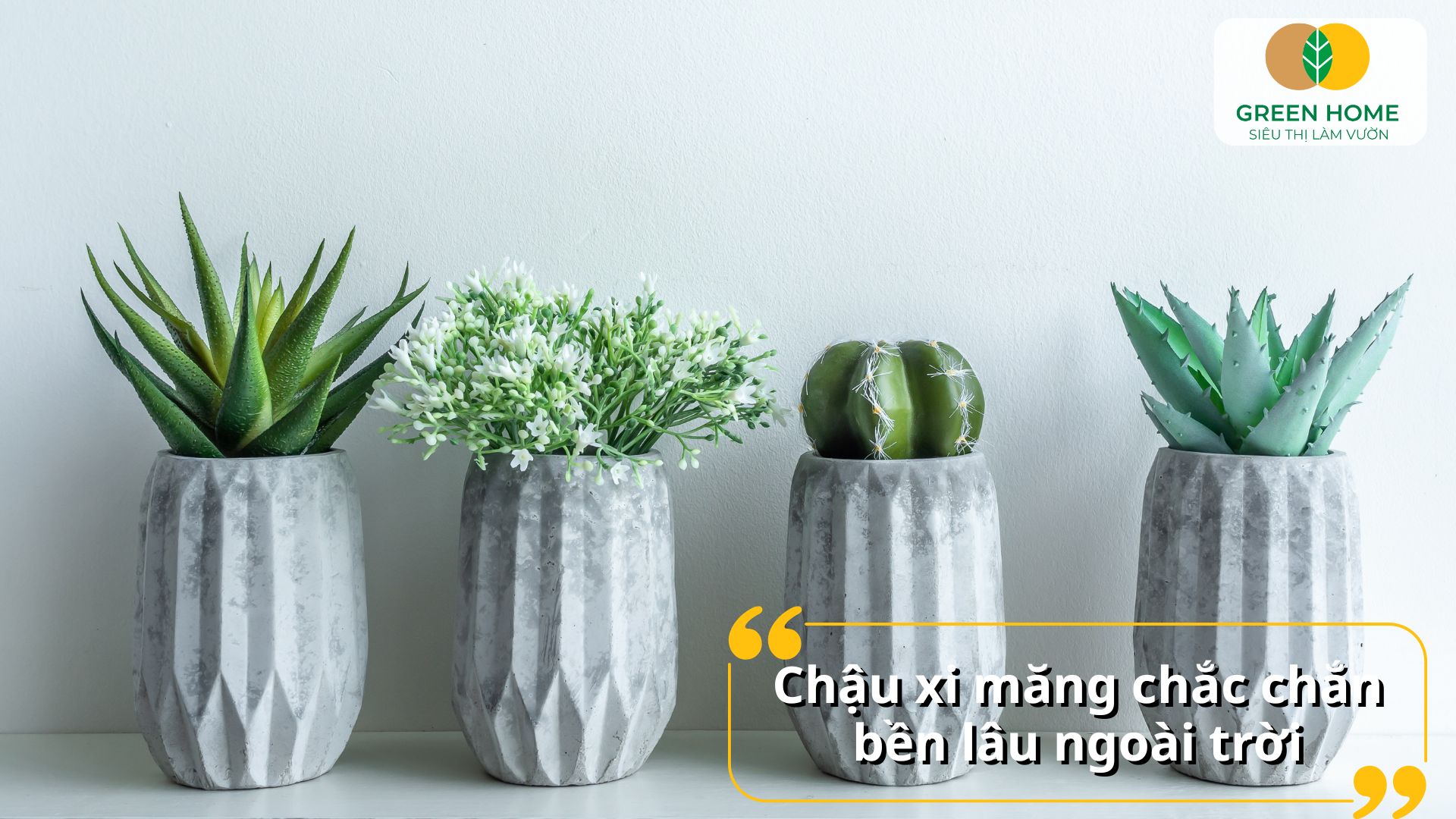Chậu trồng sen đá phù hợp phối cùng giá thể thoát nước tốt