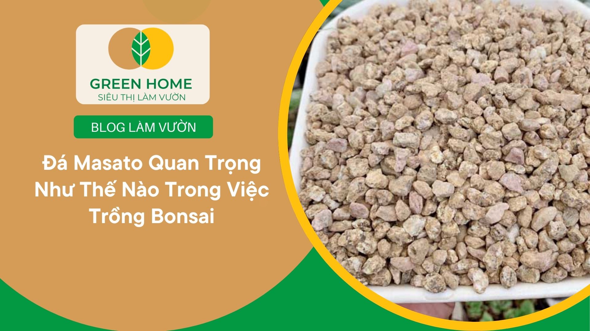 Đá Masato Quan Trọng Như Thế Nào Trong Việc Trồng Bonsai