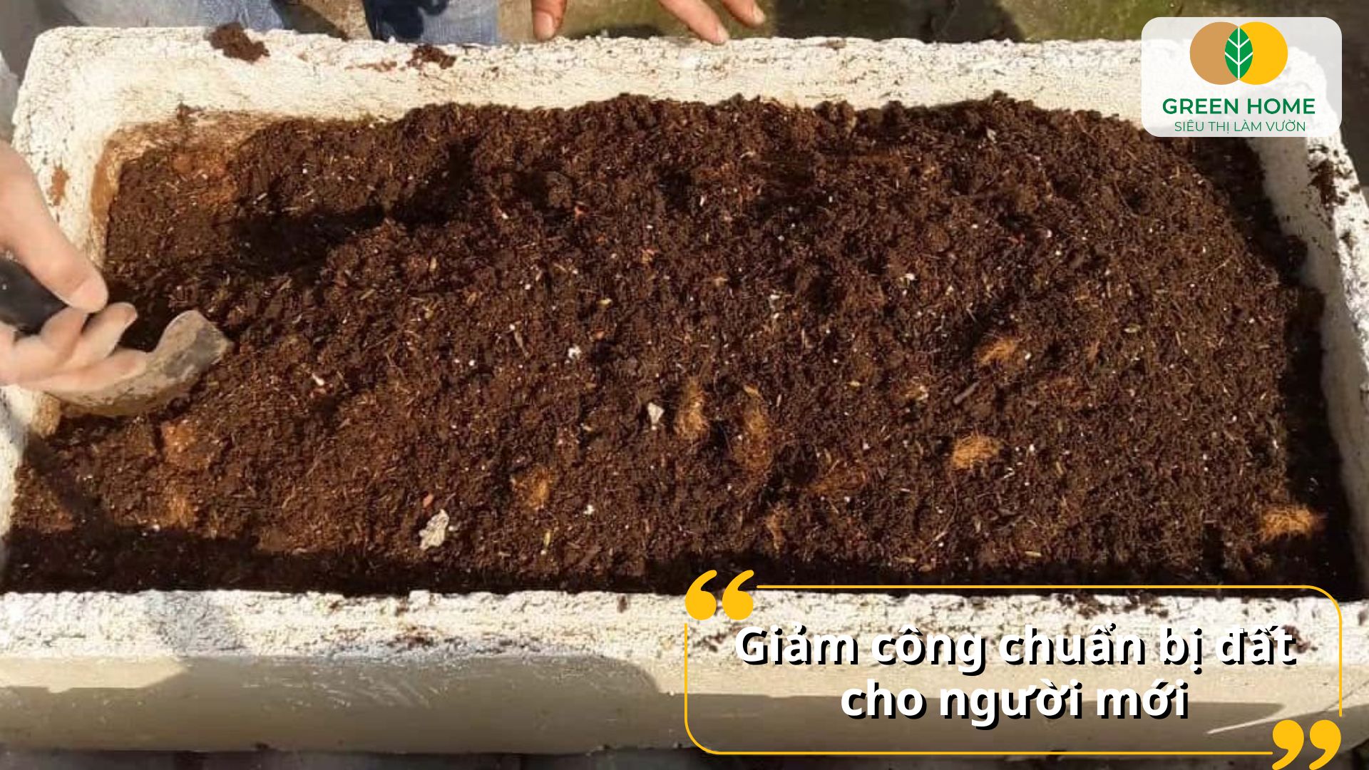 Đất trộn sẵn trồng cây giúp cây hấp thụ chất dinh dưỡng hiệu quả hơn