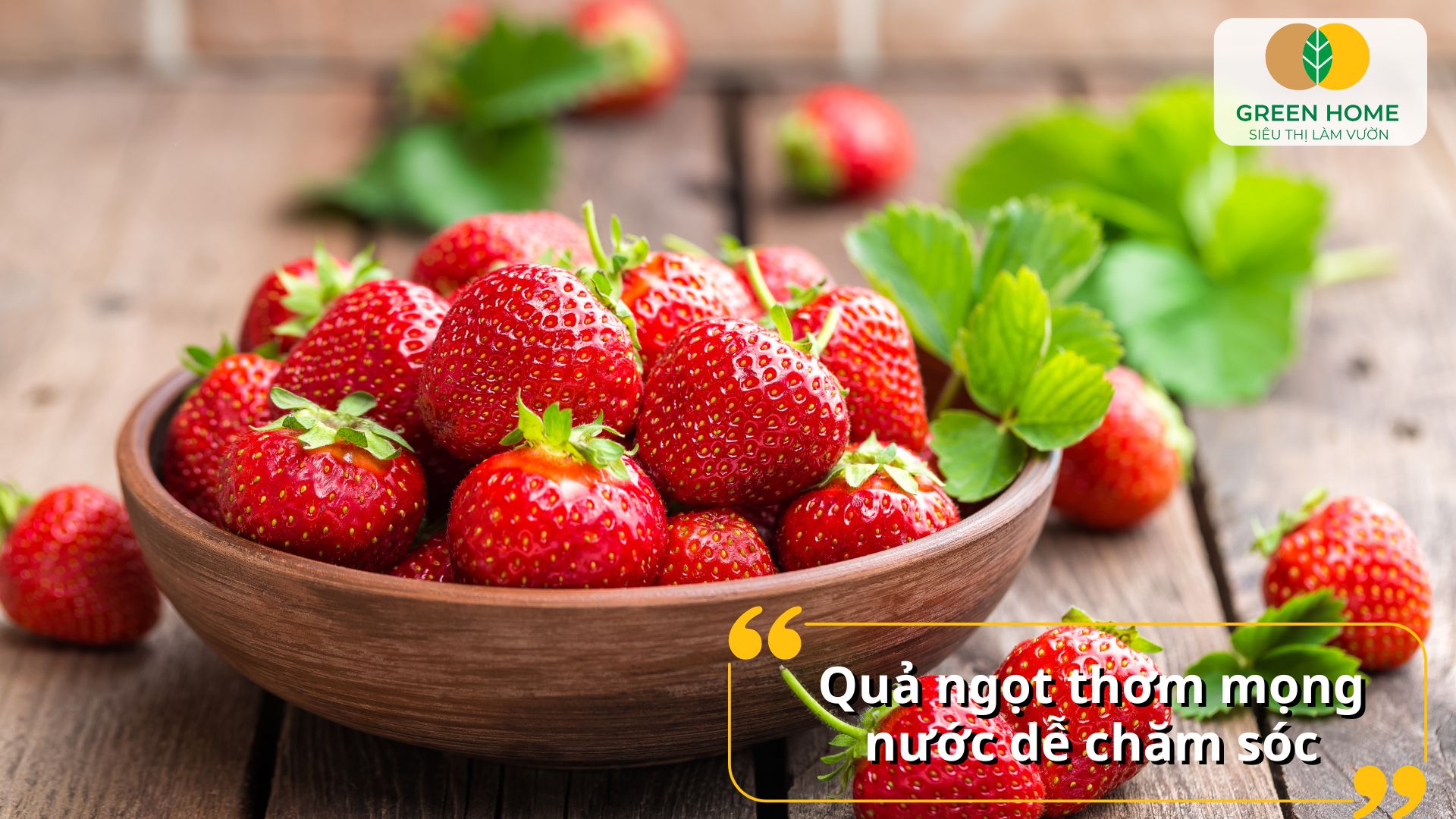 Giống dâu tây chịu nhiệt cho quả ngọt thanh và mọng nước