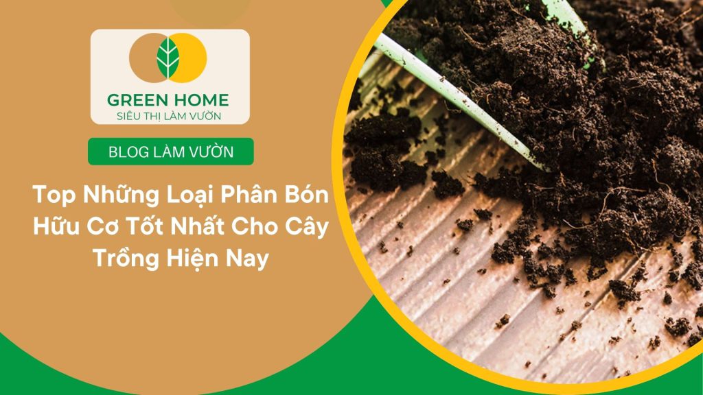 Cây ăn quả sai trĩu nhờ phân bón hữu cơ bền vững