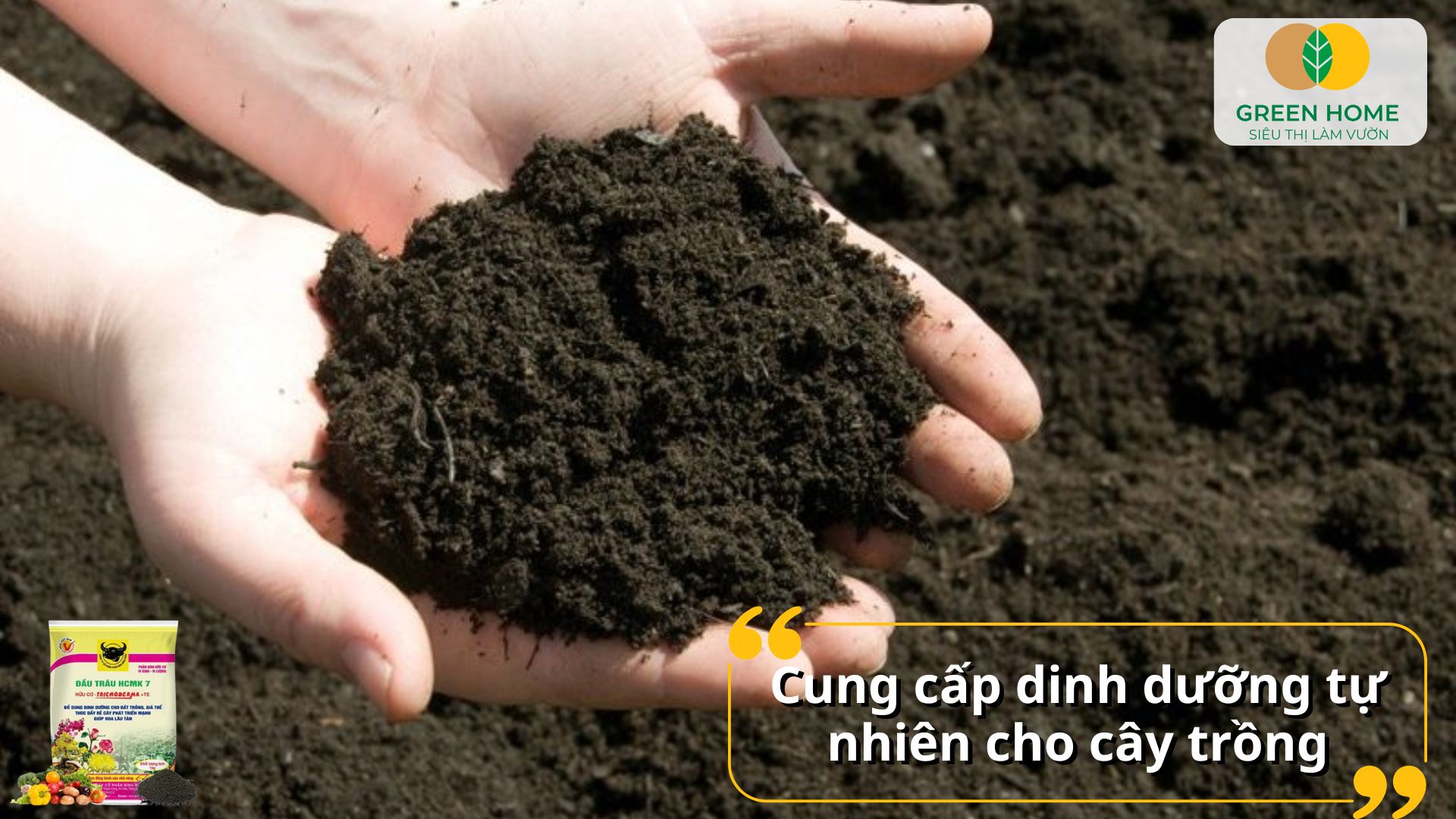Dinh dưỡng tự nhiên từ phân bón hữu cơ cho mọi loại cây trồng