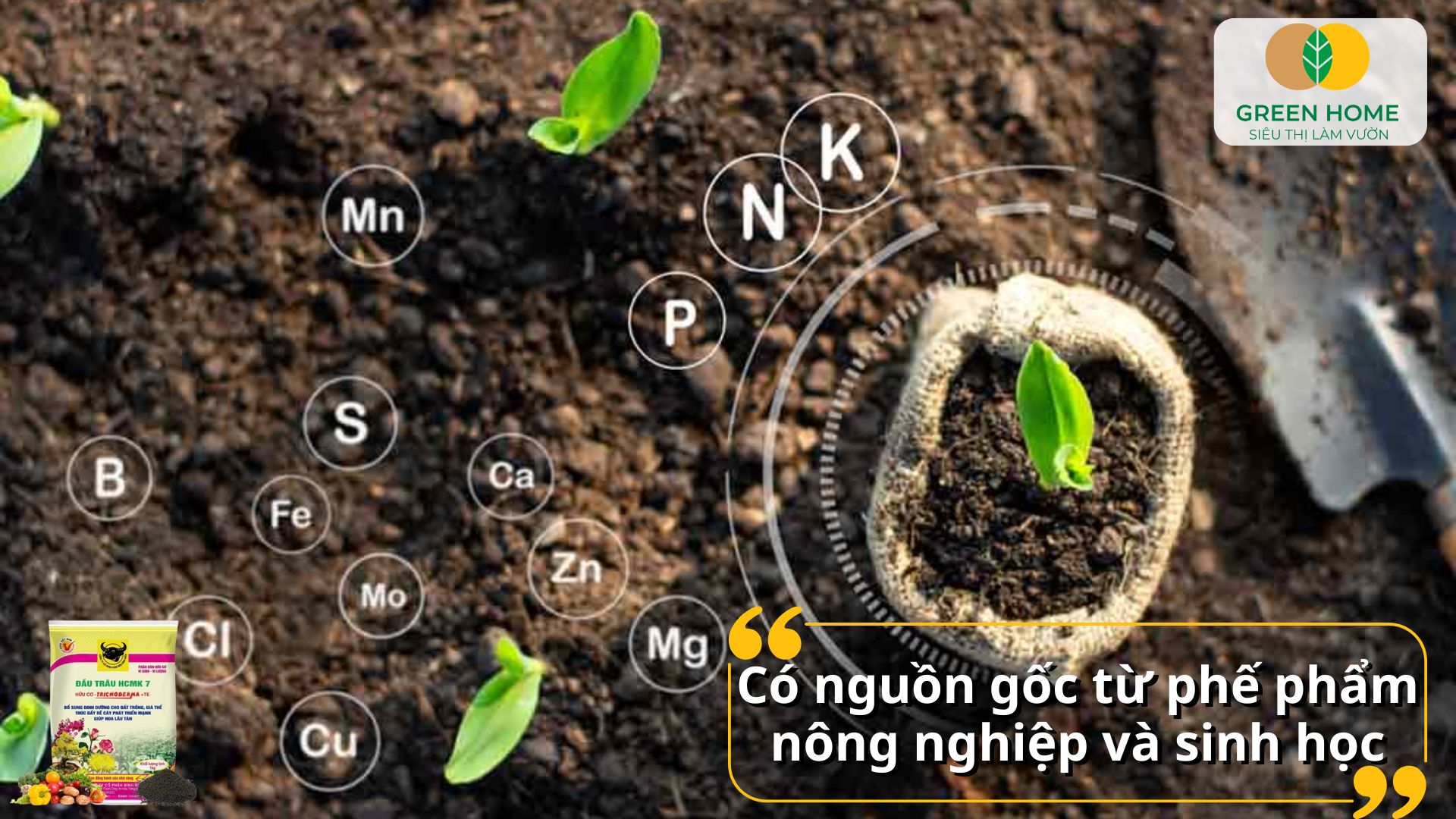 Phân bón hữu cơ an toàn cho sức khỏe và hệ sinh thái