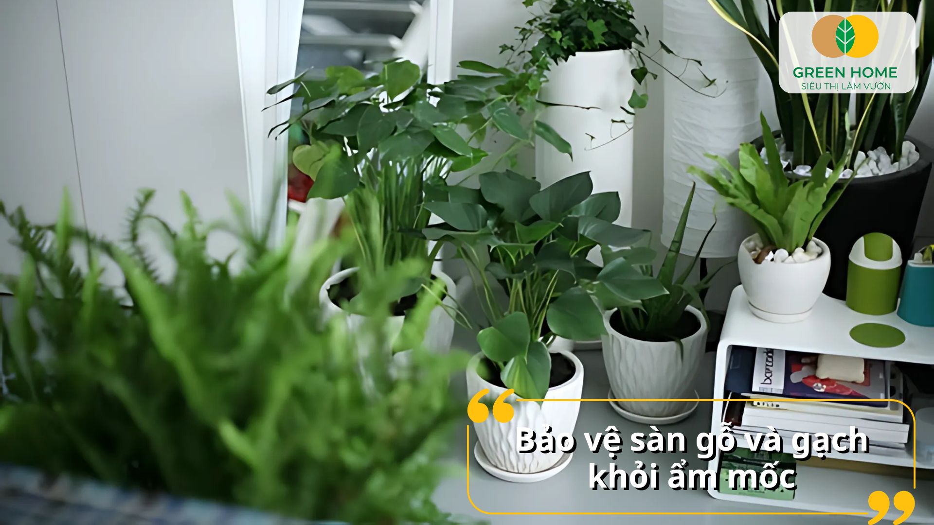 Đĩa lót chậu cây giúp tiết kiệm thời gian dọn dẹp sau khi tưới