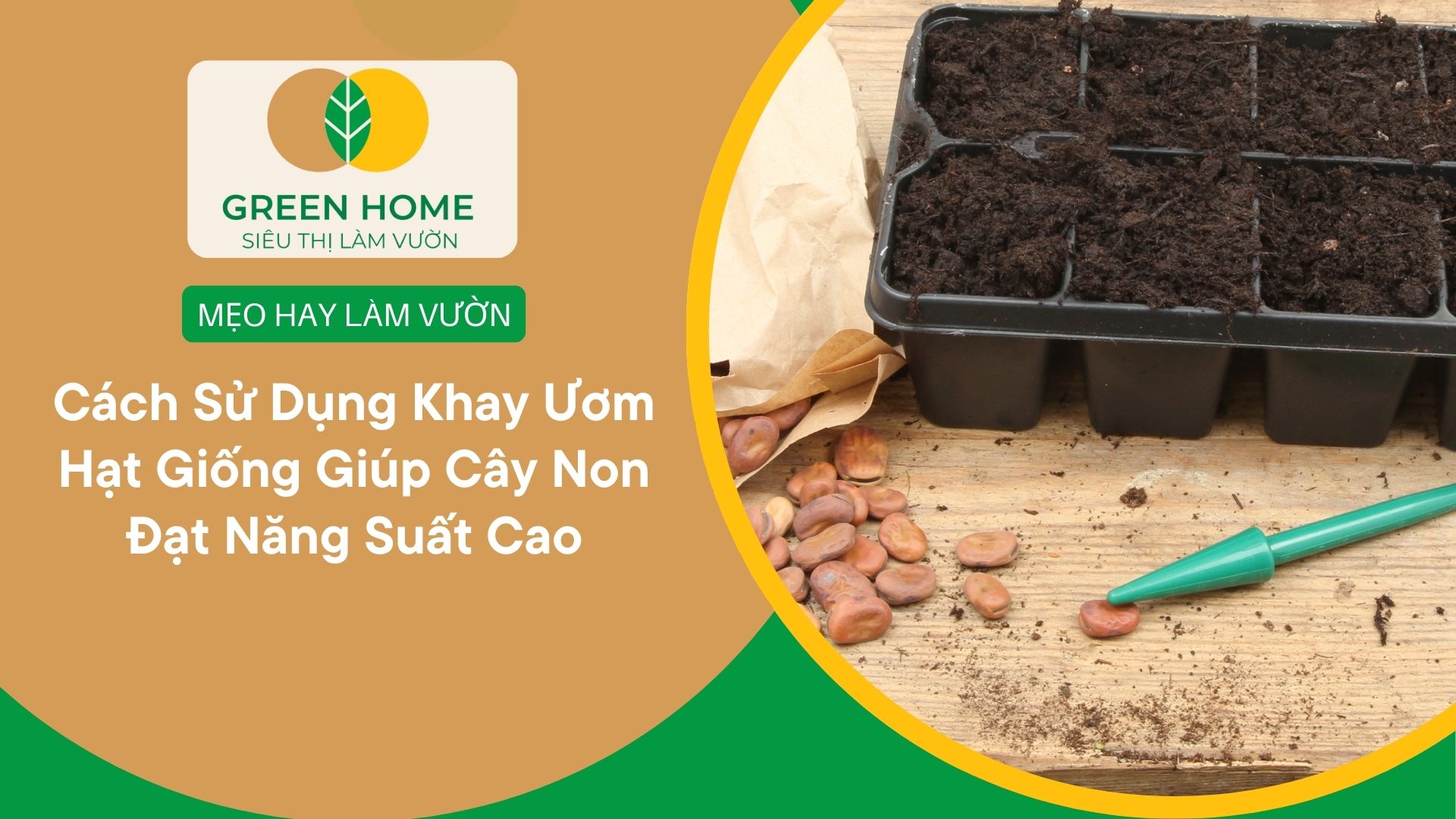 Cách Sử Dụng Khay Ươm Hạt Giống Giúp Cây Non Đạt Năng Suất Cao
