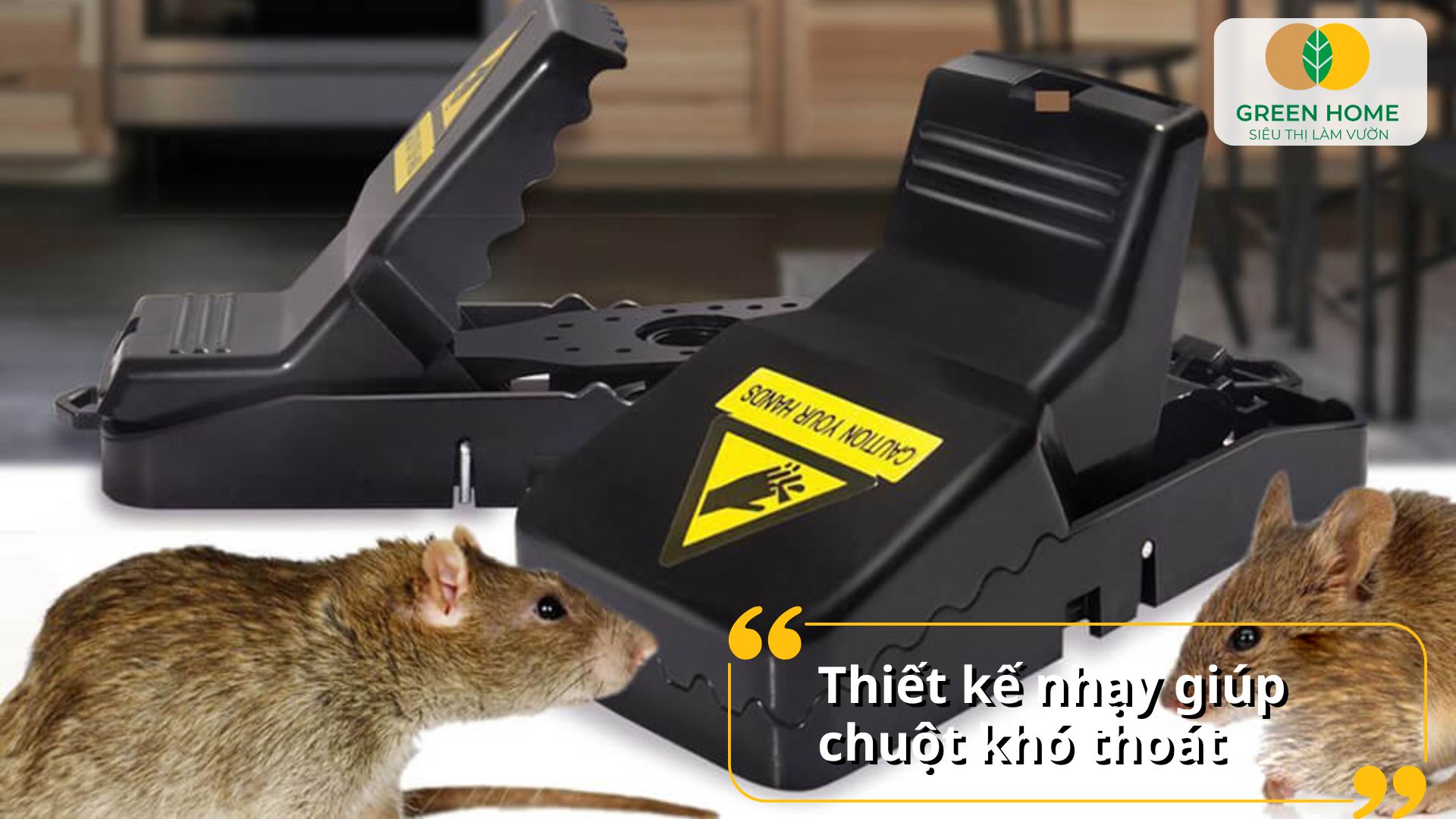 Bẫy chuột thông minh hoạt động hiệu quả cả ngày lẫn đêm