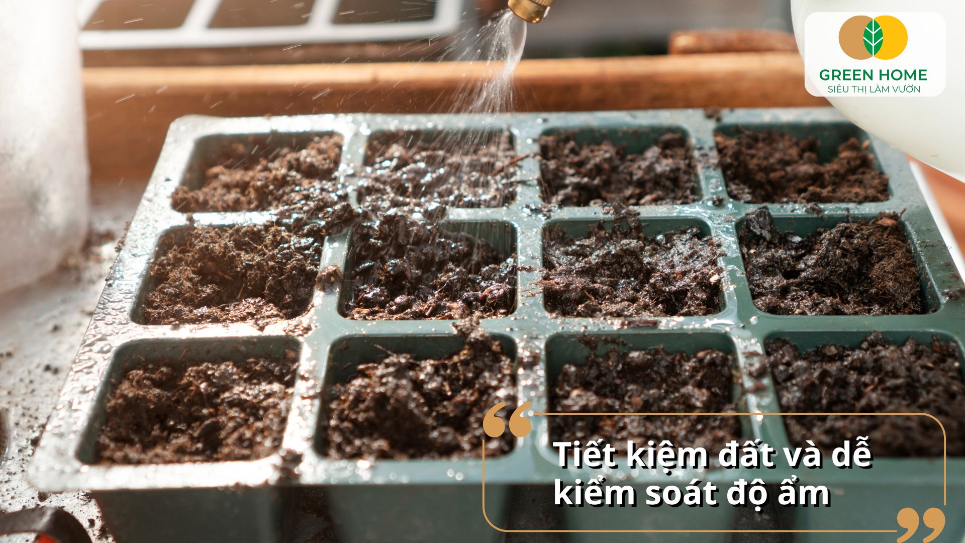 Khay ươm hạt giống giúp bảo vệ cây con khi mới nảy mầm