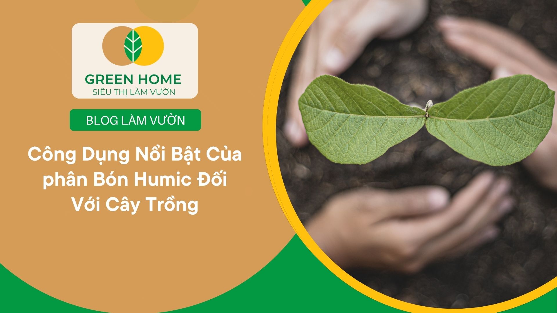 Công Dụng Nổi Bật Của phân Bón Humic Đối Với Cây Trồng