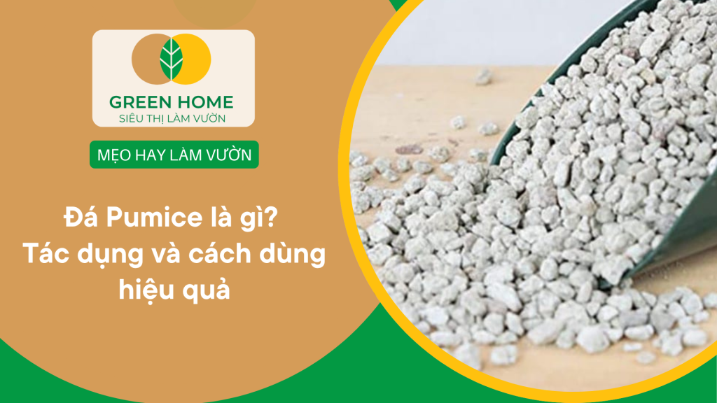 Đá Pumice là gì? Tác dụng và cách dùng hiệu quả