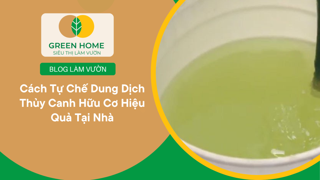 Cách tự chế dung dịch thủy canh hữu cơ