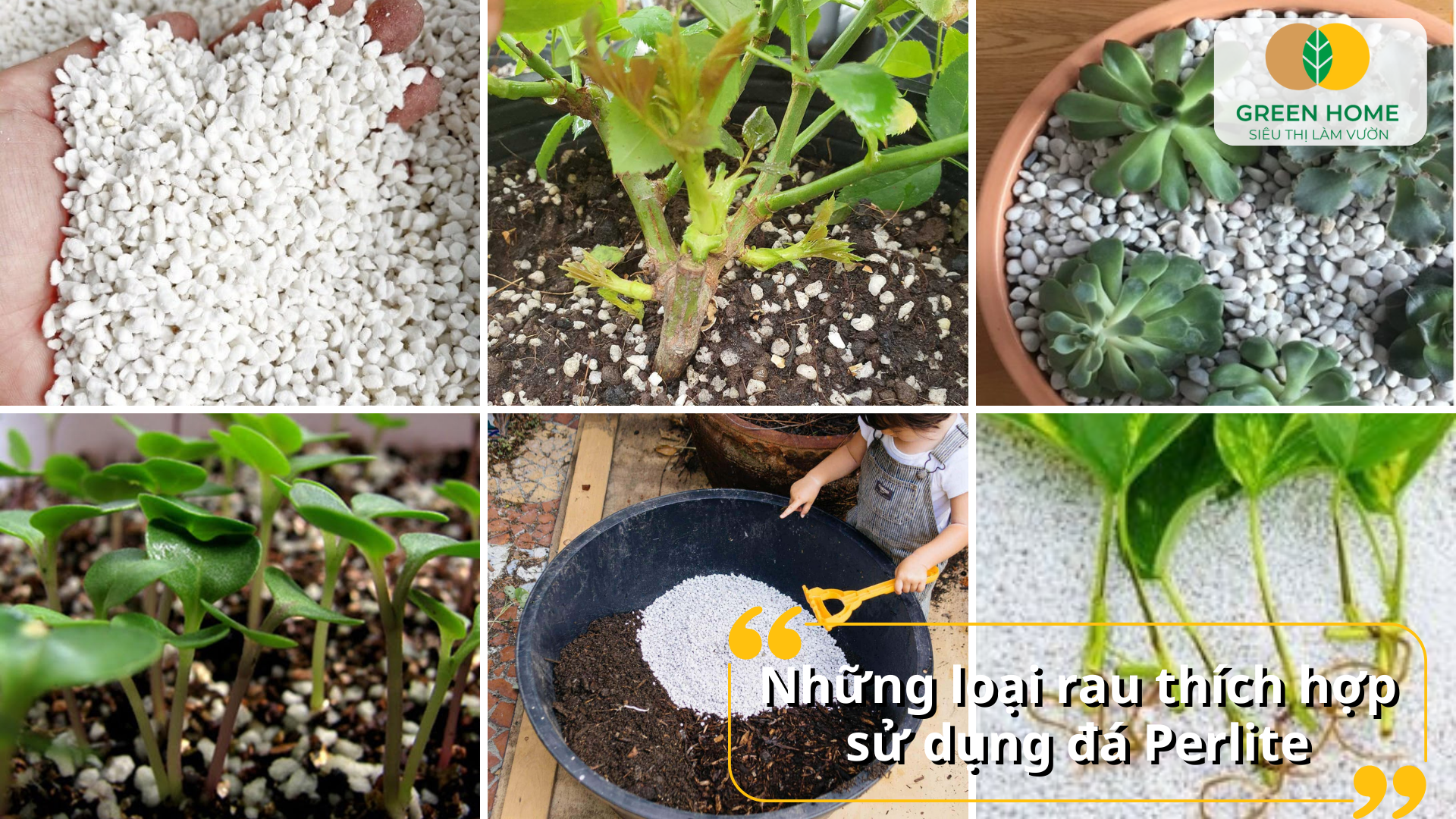 Những loại rau và cây trồng phù hợp sử dụng đá Perlite