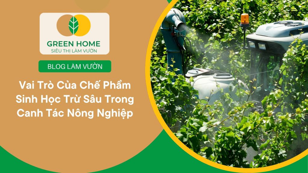 Chế phẩm sinh học trừ sâu hỗ trợ hạn chế sâu cuốn lá