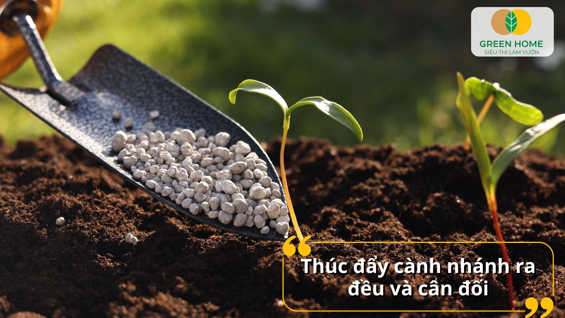Bón phân NPK cho cây cảnh cải thiện chất lượng đất trồng