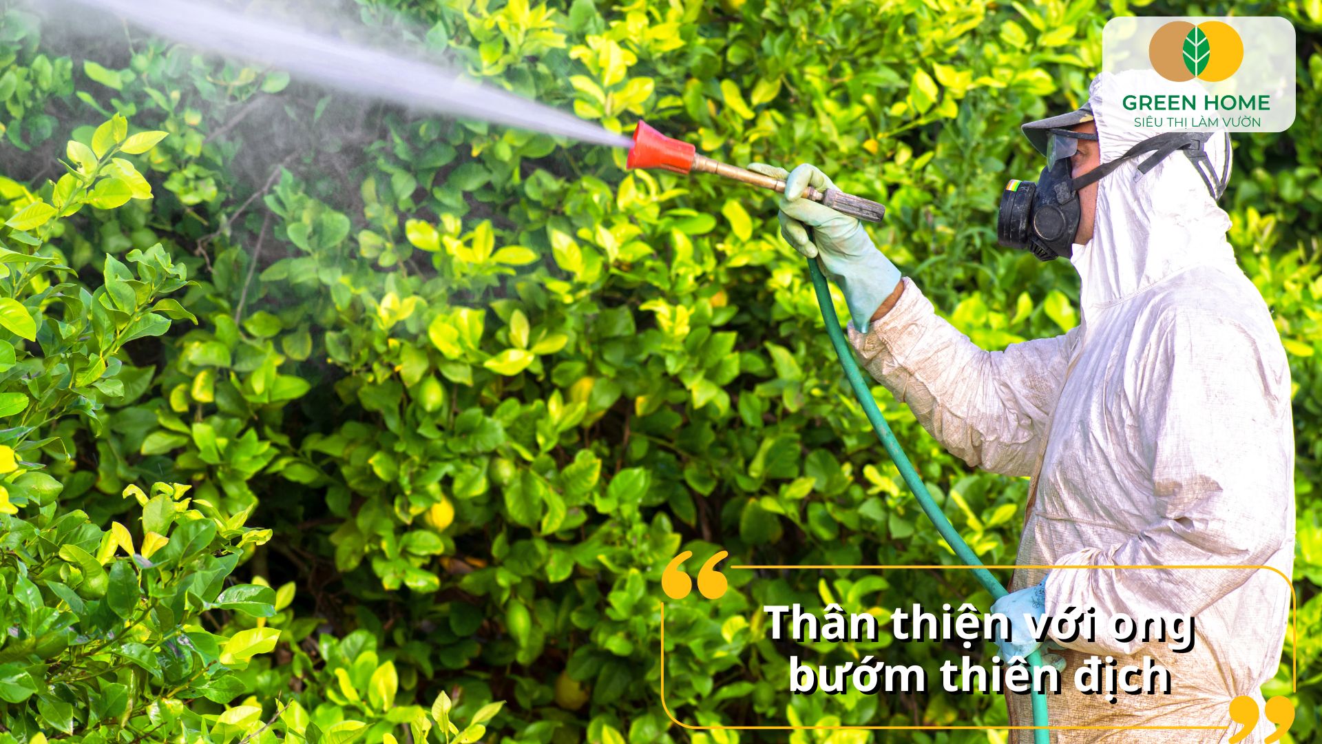 Chế phẩm sinh học trừ sâu phù hợp cho nông nghiệp hữu cơ
